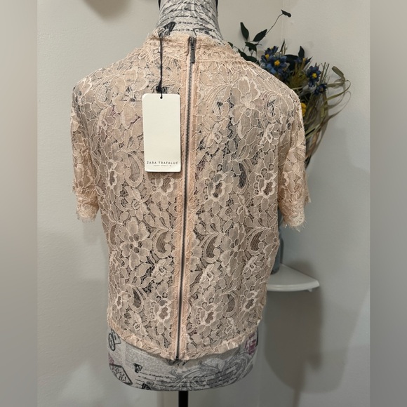 Zara Embroidered Roping Embellished Boxy Shear Tan Lace Blouse size Large - Picture 2 of 8
